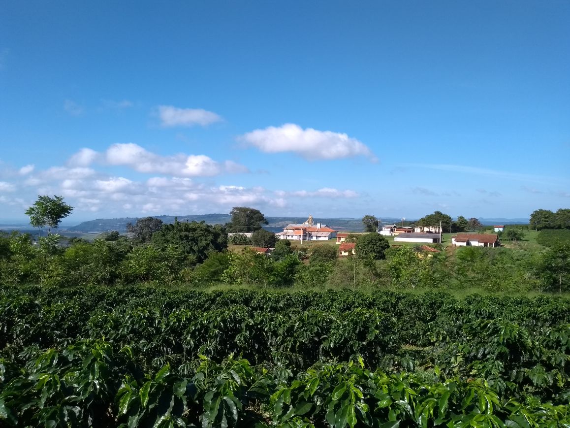 Arabela Pereira Lima Brazil