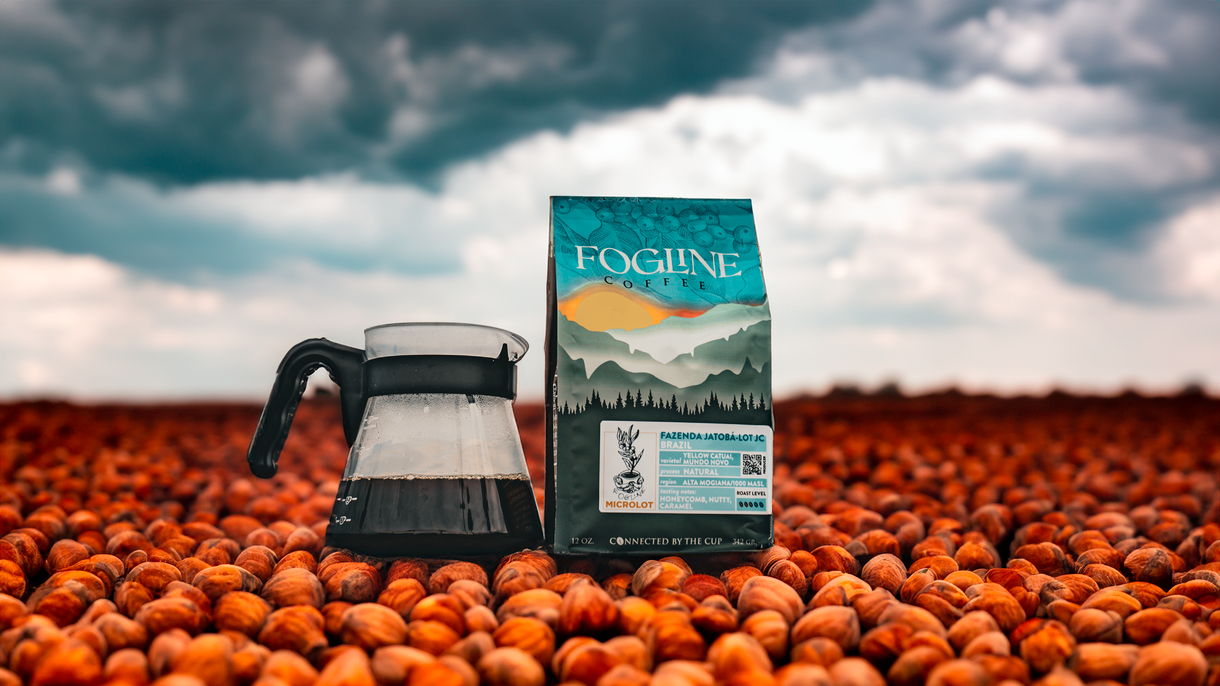 Shop All – Fogline Coffee