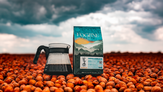 Fog Linen Work Brass Coffee Filter Holder – Los Poblanos Farm Shop