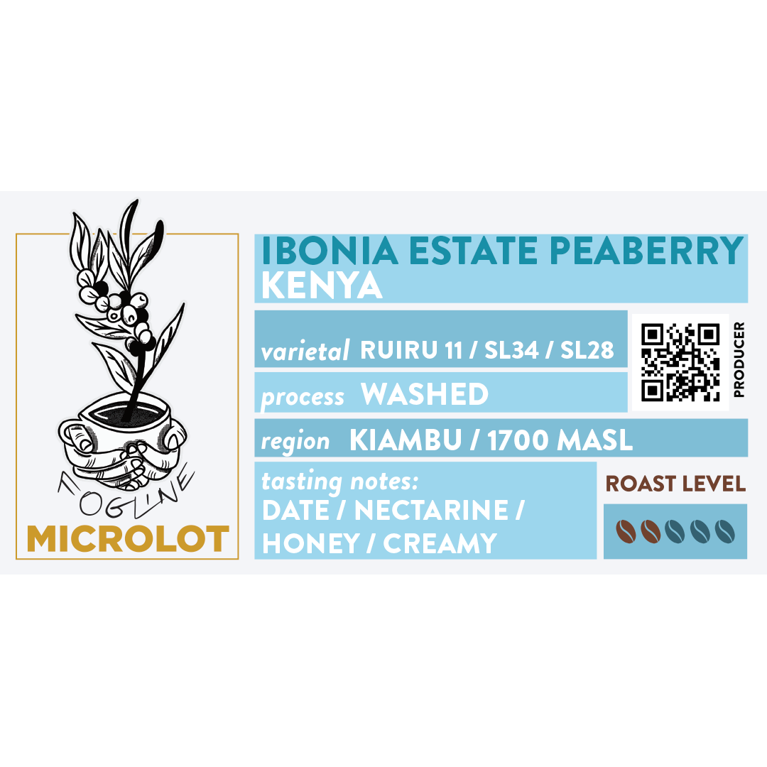 Ibonia Estate Peaberry Kenya