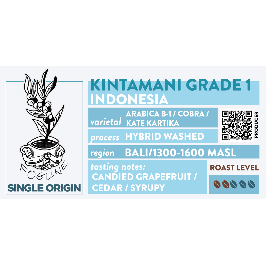 Kintamani Grade 1