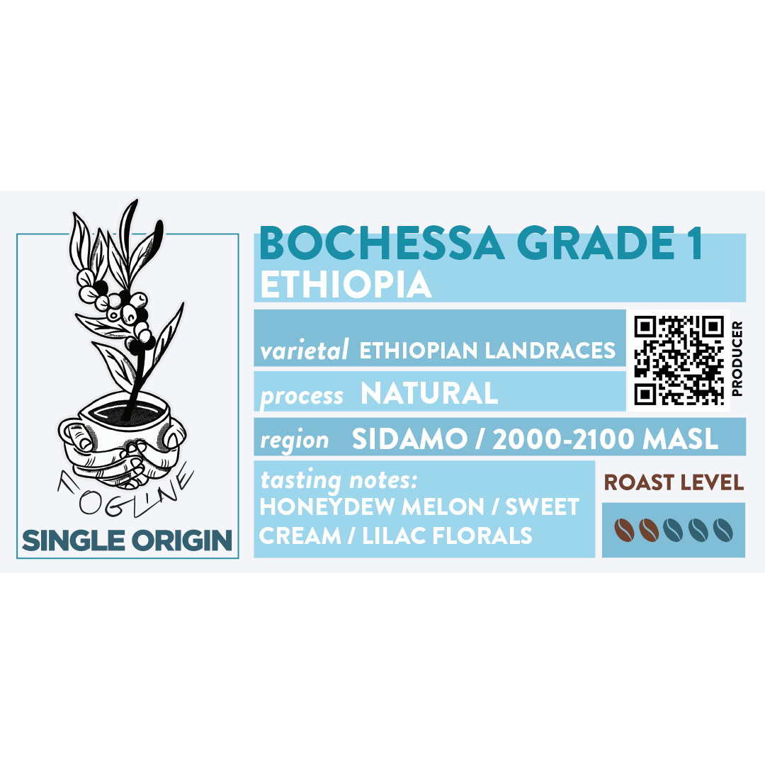 Bochessa Grade 1