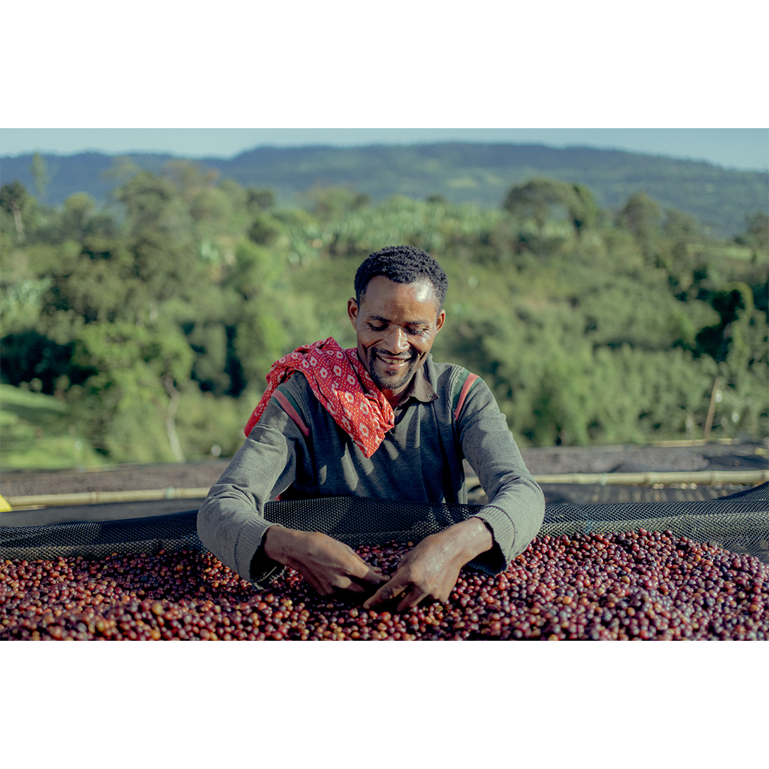 Agaro Gera Ethiopia