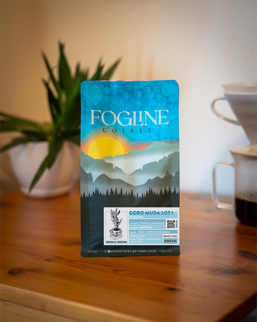 Goro Muda Lot 1 Ethiopia