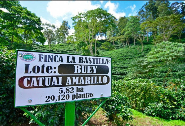 La Bastilla Estates Nicaragua